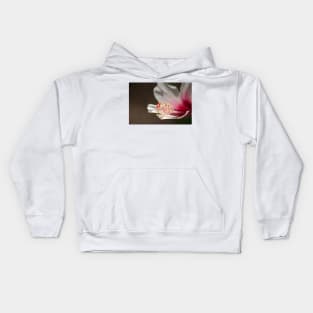 White & Pink Tropical Hibiscus Flower Macro Photograph Kids Hoodie